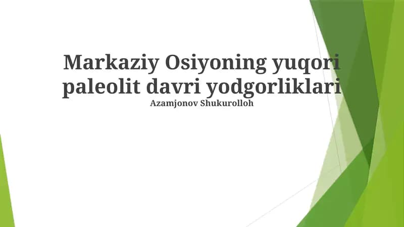 Markaziy Osiyoning yuqori paleolit davri yodgorliklari
