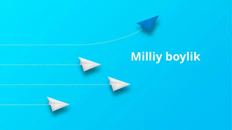 Milliyboylik