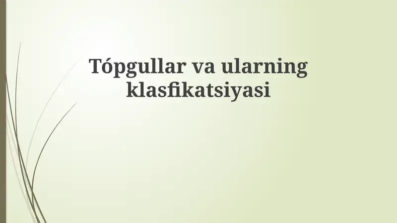 Loyli tuproqlar