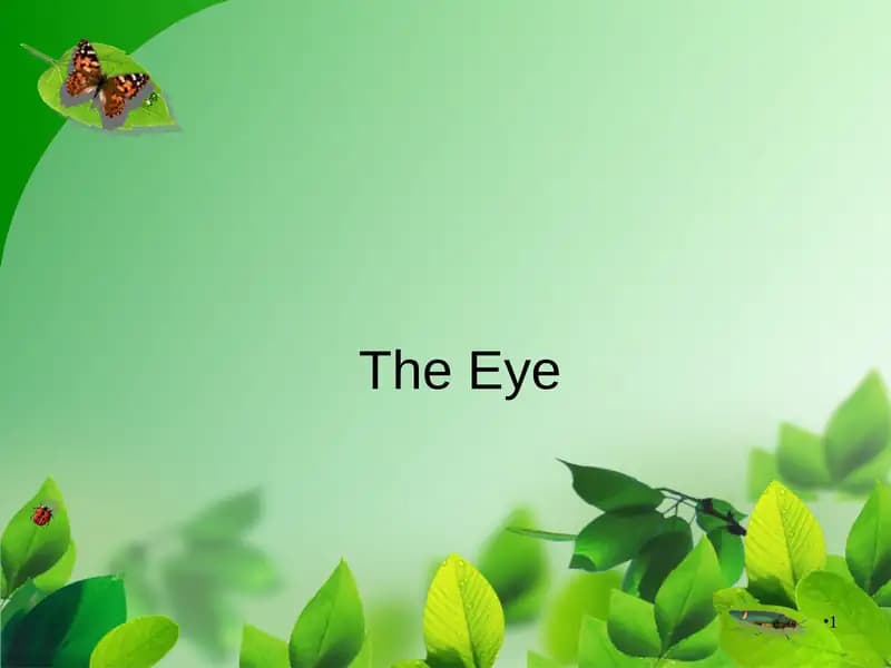 The Eye