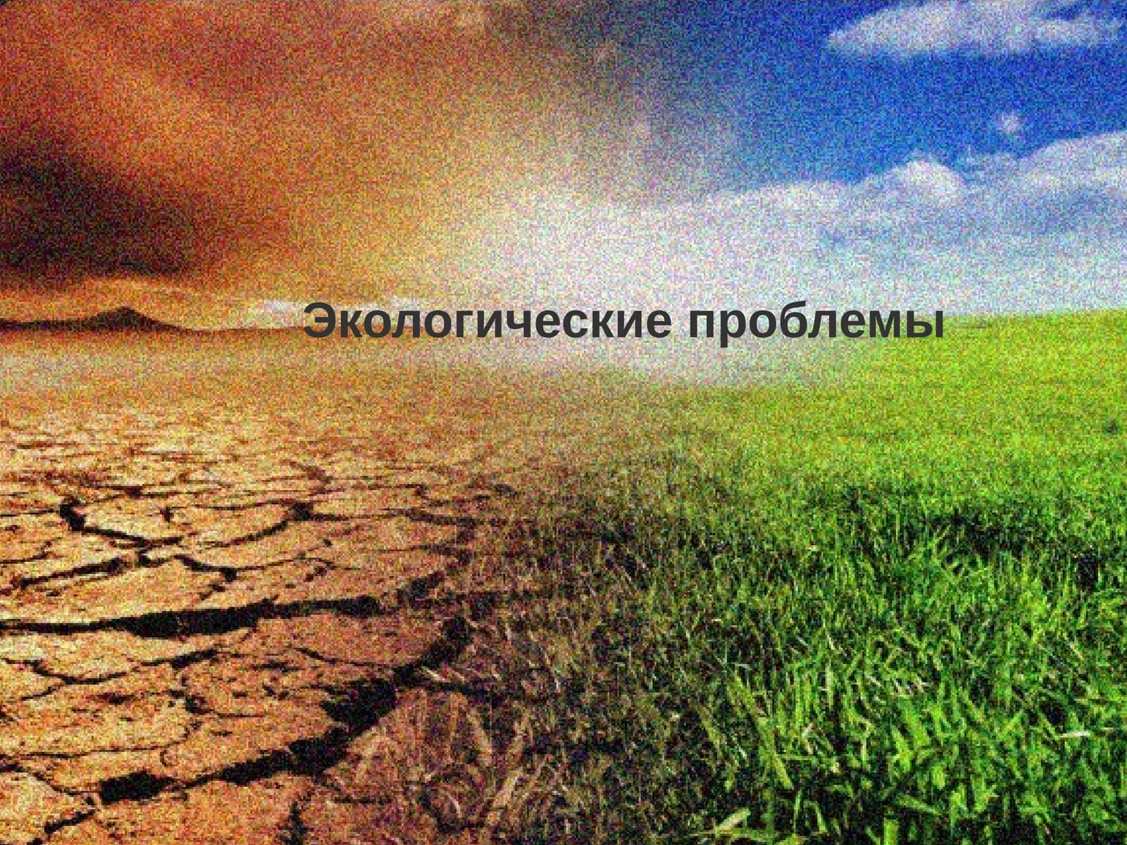 Экологические проблемы