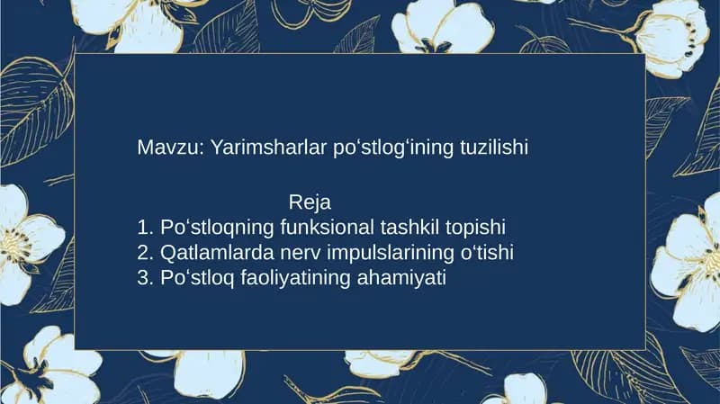 Yarimsharlar poʻstlogʻining tuzilishi