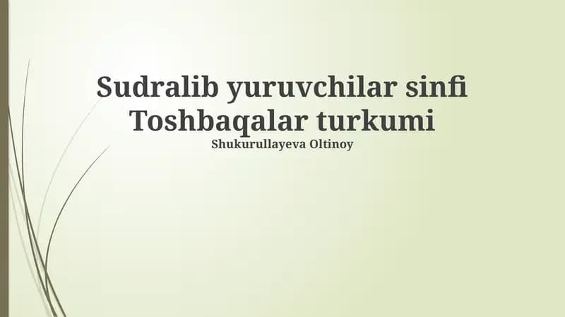 Toshbaqalar turkumi