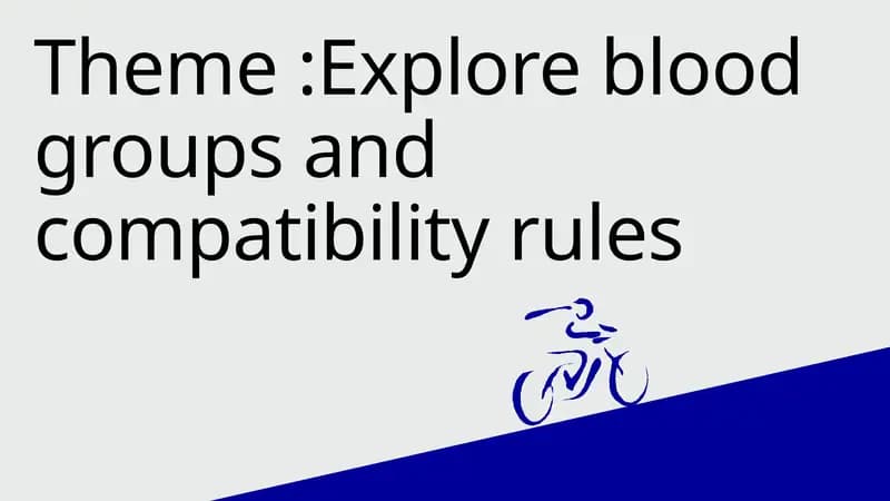Explore blood groups and compatibility rules