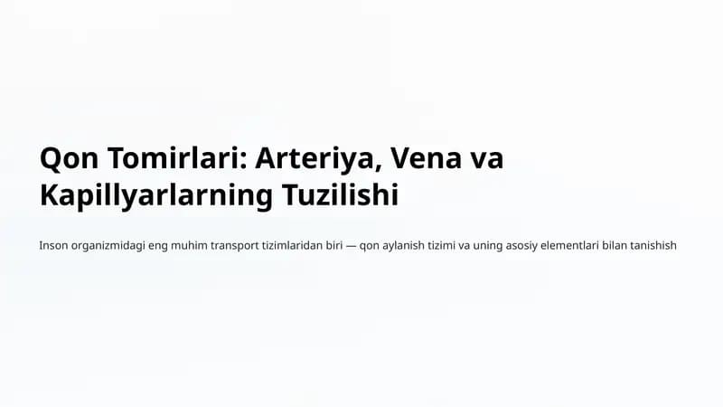 Qon Tomirlari: Arteriya, Vena va Kapillyarlarning Tuzilishi