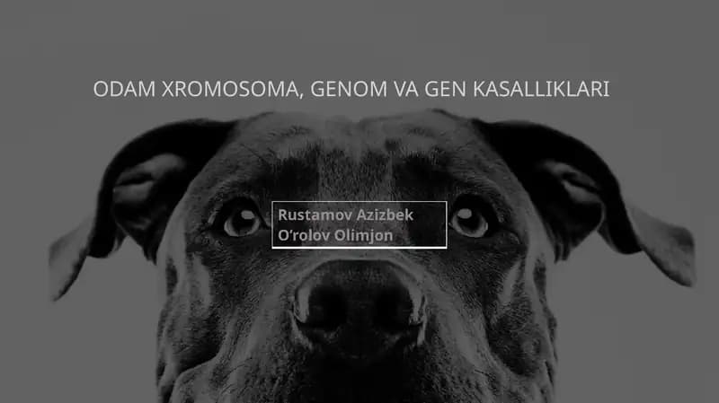 Odam xromosoma, genom va gen kasalliklari