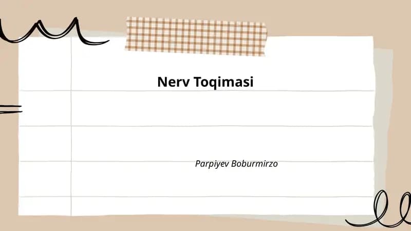 Nerv Toqimasi