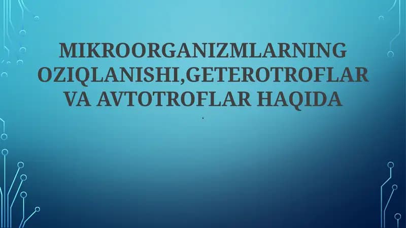 Geterotrof va Avtotroflarning Ekologik Rollari