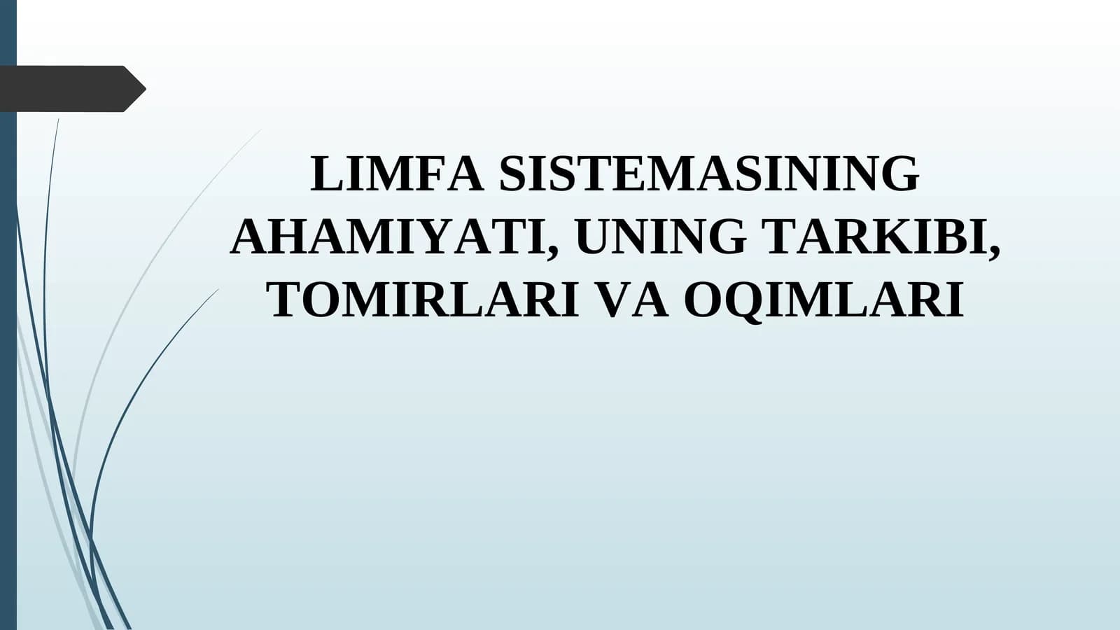 Limfa sistemasi: organizmning muhim qismi