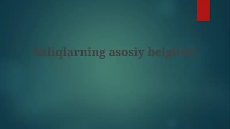 Baliqlarning asosiy belgilari