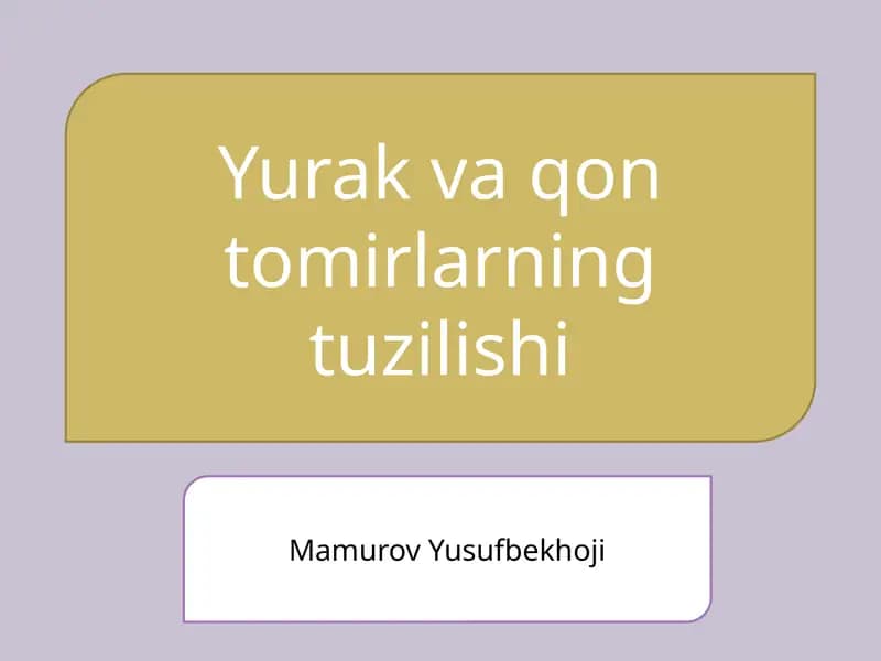 Yurak va qon tomirlarning tuzilishi