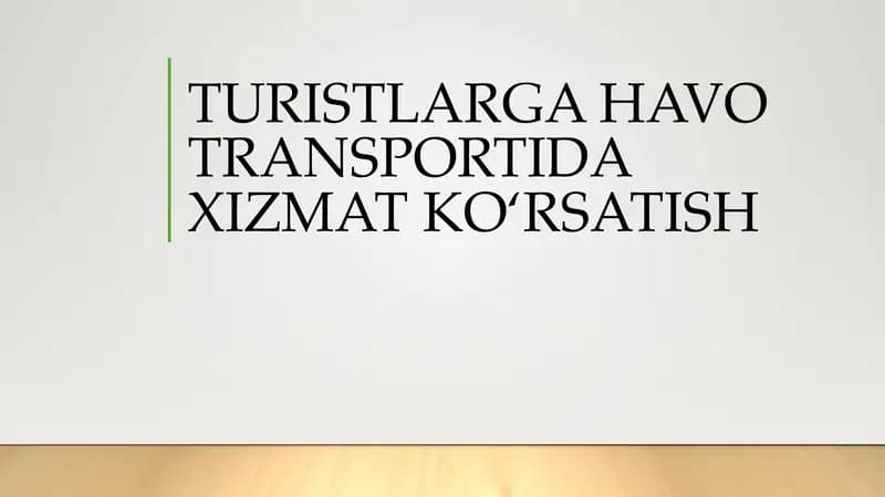 TURISTLARGA HAVO TRANSPORTIDA XIZMAT KO‘RSATISH