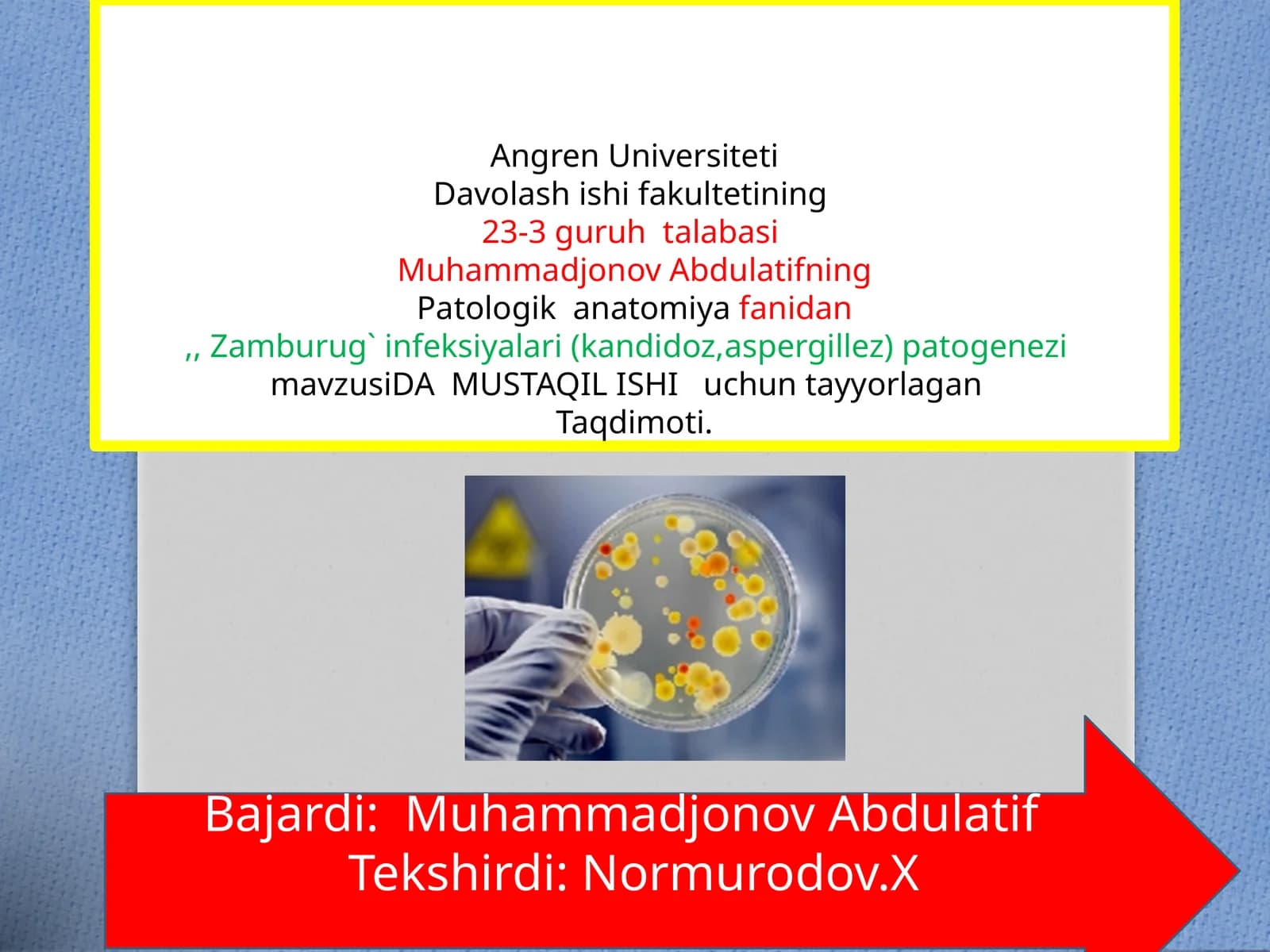 Zamburug` infeksiyalari