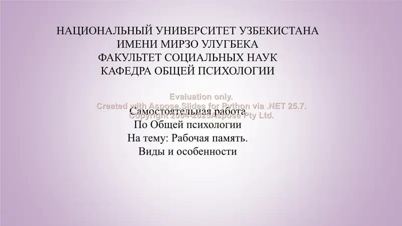 Рабочая память.  Виды и особенности