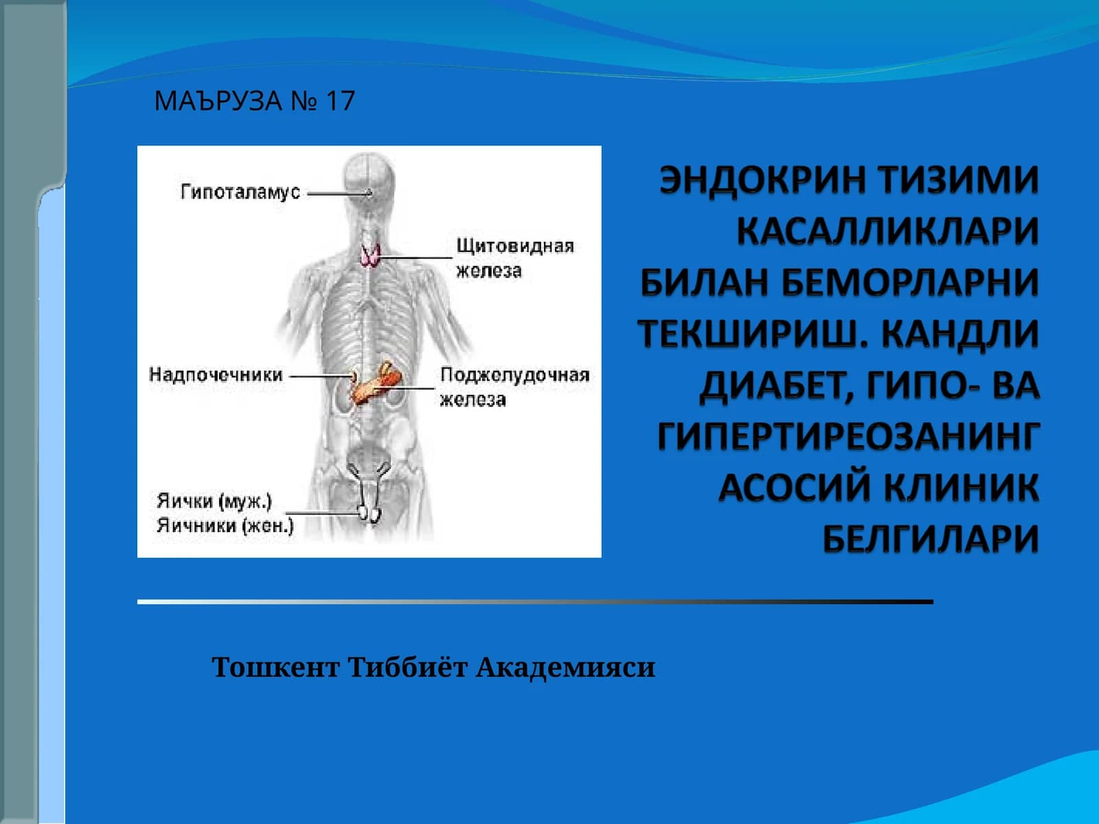 МАЪРУЗА № 17
