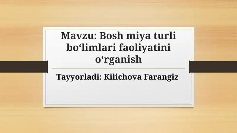 Bosh miya boʻlimlari va ularning funktsiyalari