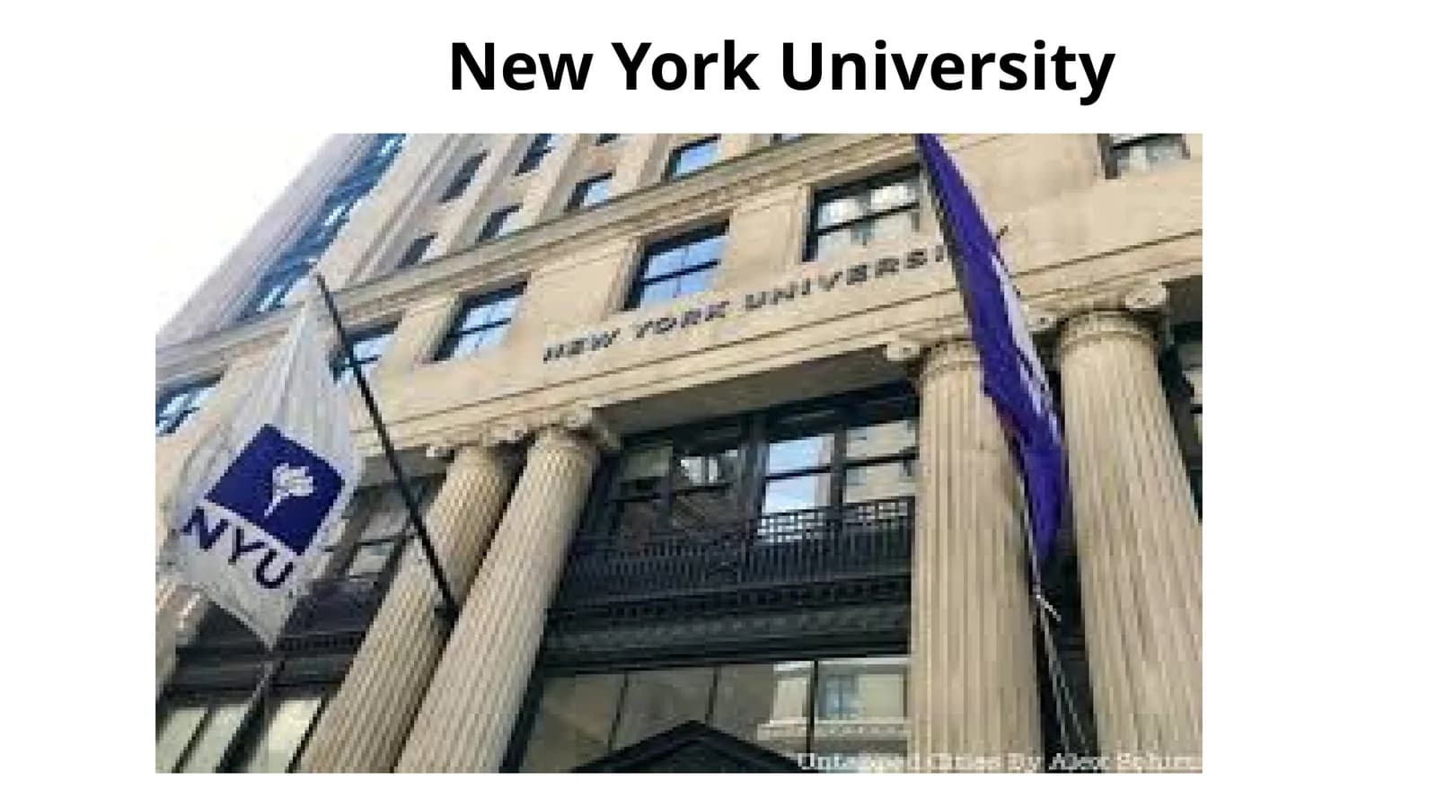 Nyu-York universiteti (NYU)