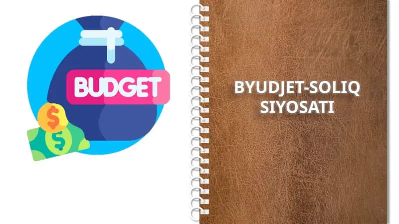 BYUDJET-SOLIQ SIYOSATI