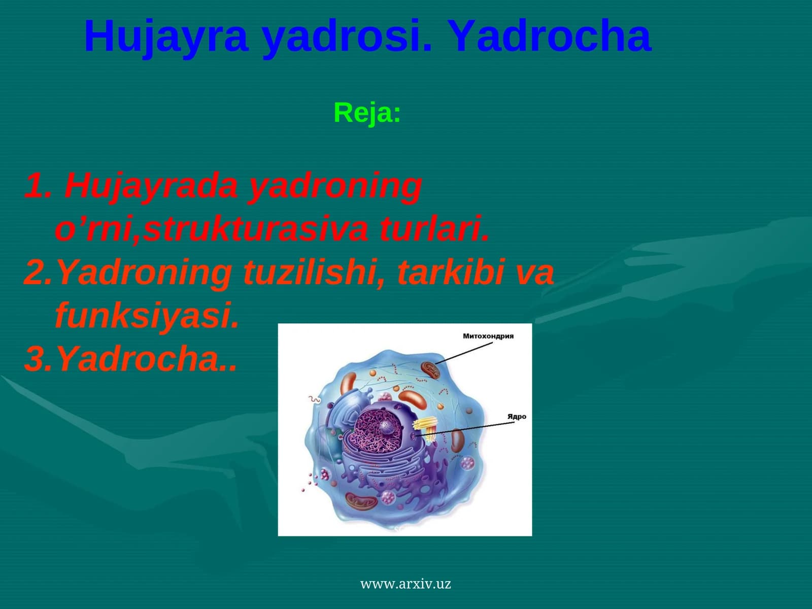 Yadrocha