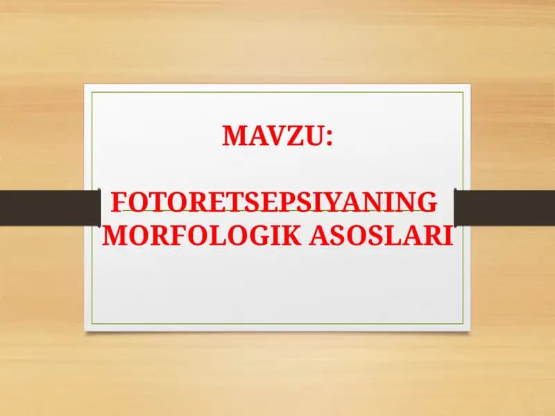 FOTORETSEPSIYANING  MORFOLOGIK ASOSLARI