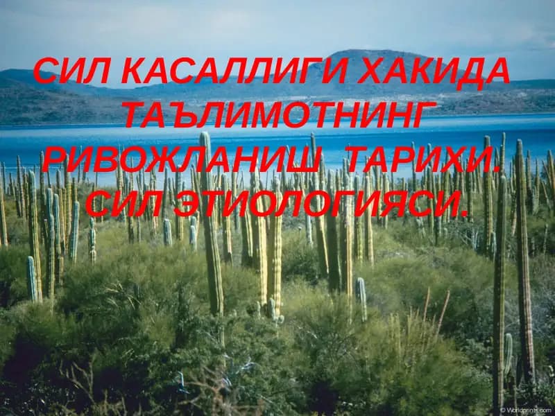 Sil kasalligi prezentatsiya
