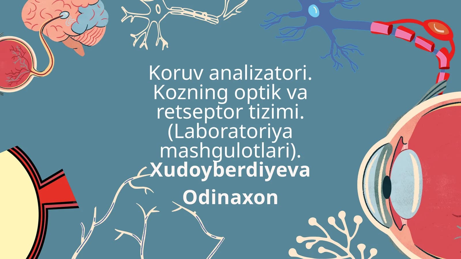 Koruv analizatori. Kozning optik va retseptor tizimi.