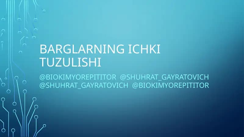 BARGLARNING ICHKI TUZULISHI