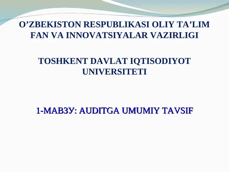 AUDITGA UMUMIY TAVSIF