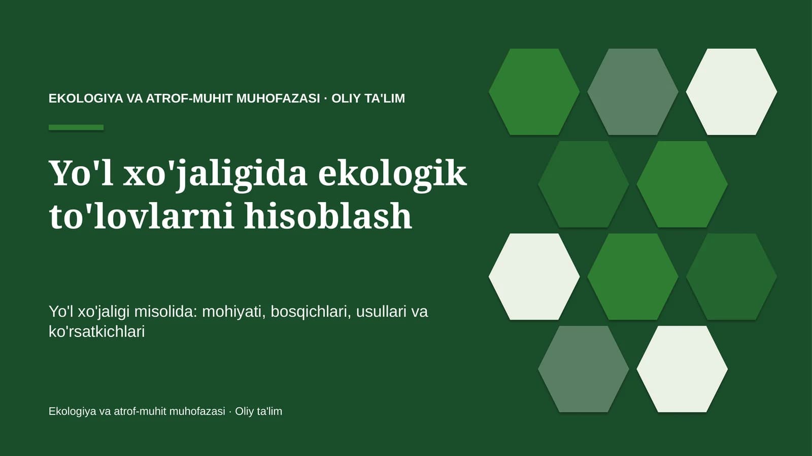 Yo'l xo'jaligida ekologik to'lovlarni hisoblash