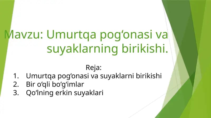 Umurtqa pog‘onasi va suyaklarning birikishi
