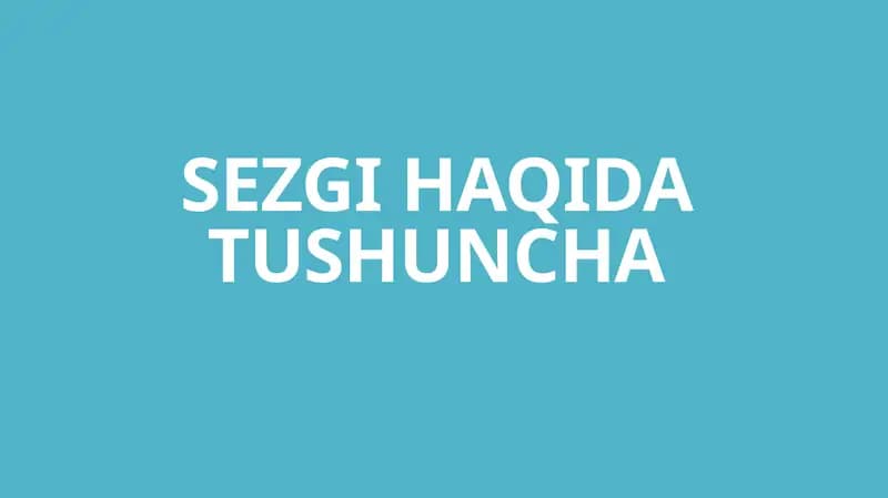 Sezgilar haqida tushuncha