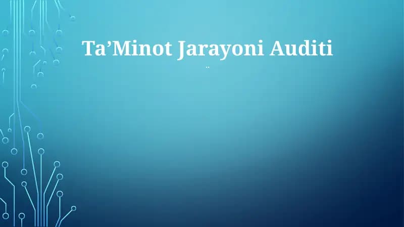 TaʼMinot Jarayoni Auditi