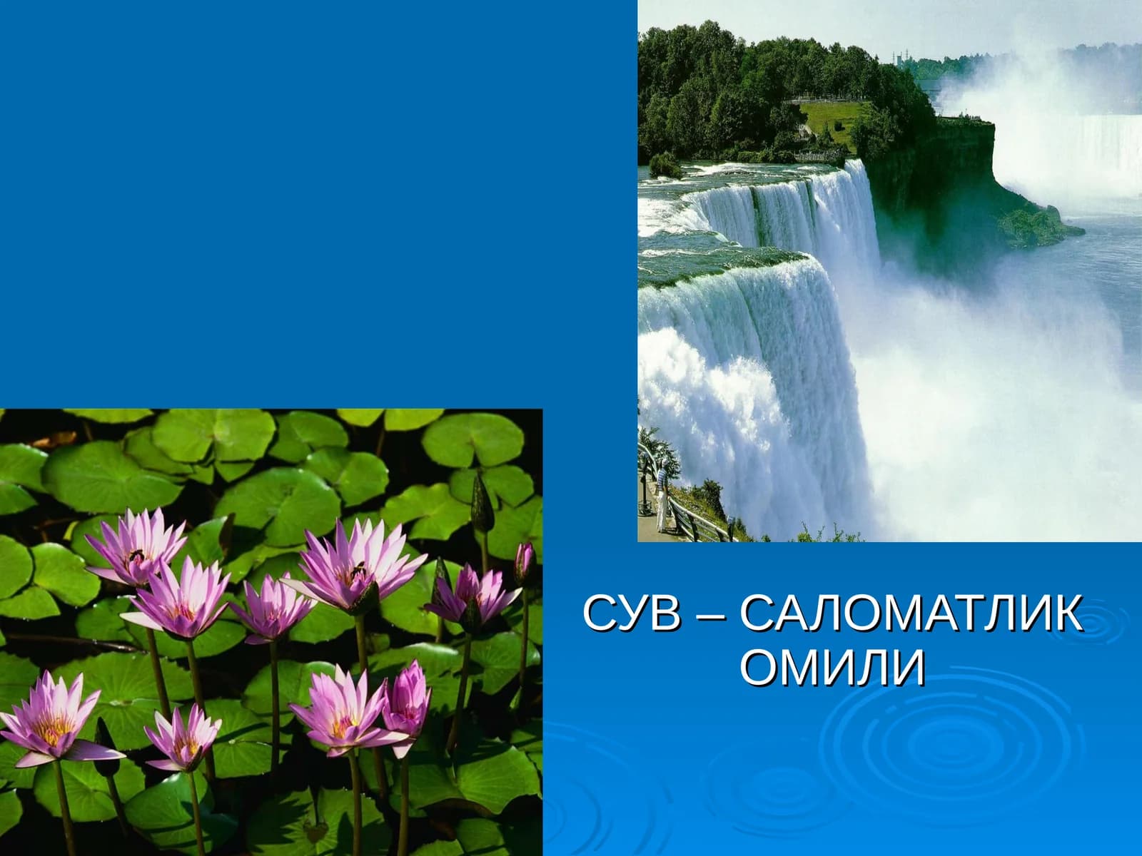 Сув – саломатлик омили