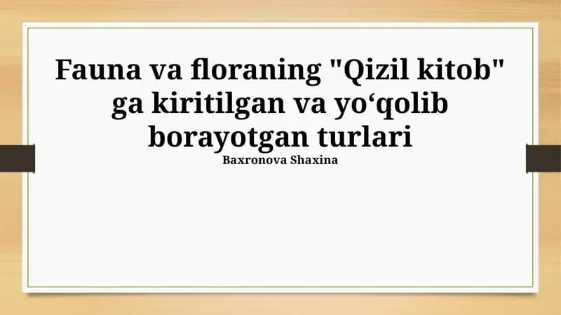 Qizil Kitob