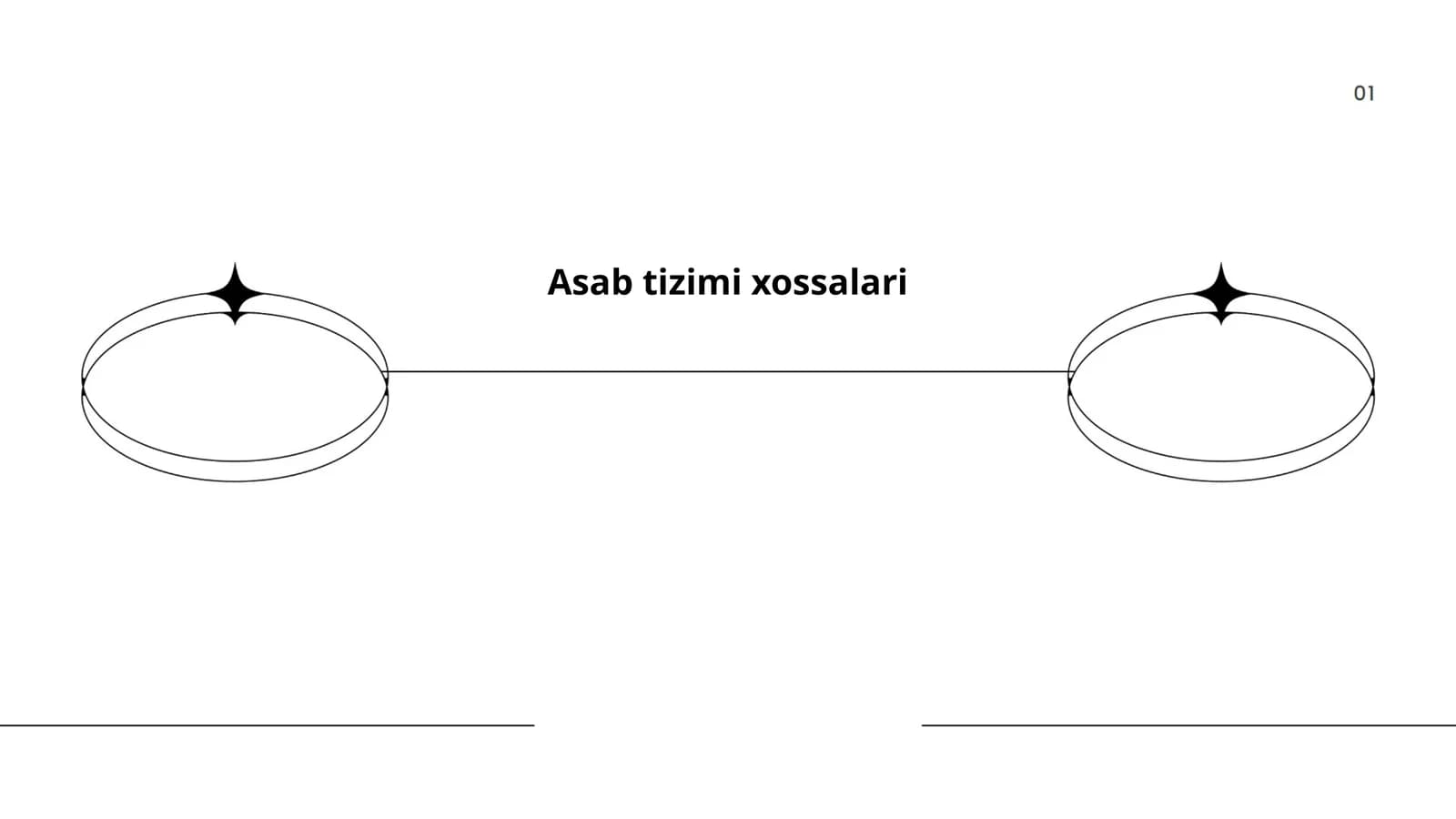 Asab tizimi xossalari