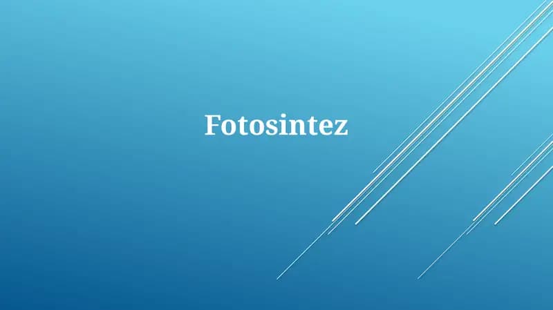 Fotosintez