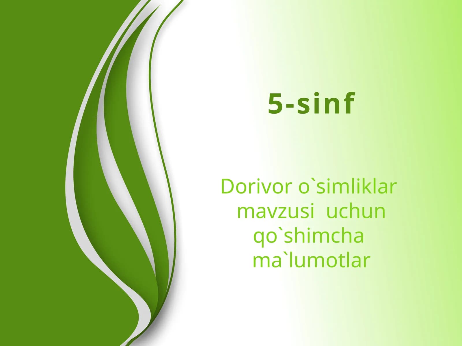 Dorivor o`simliklar