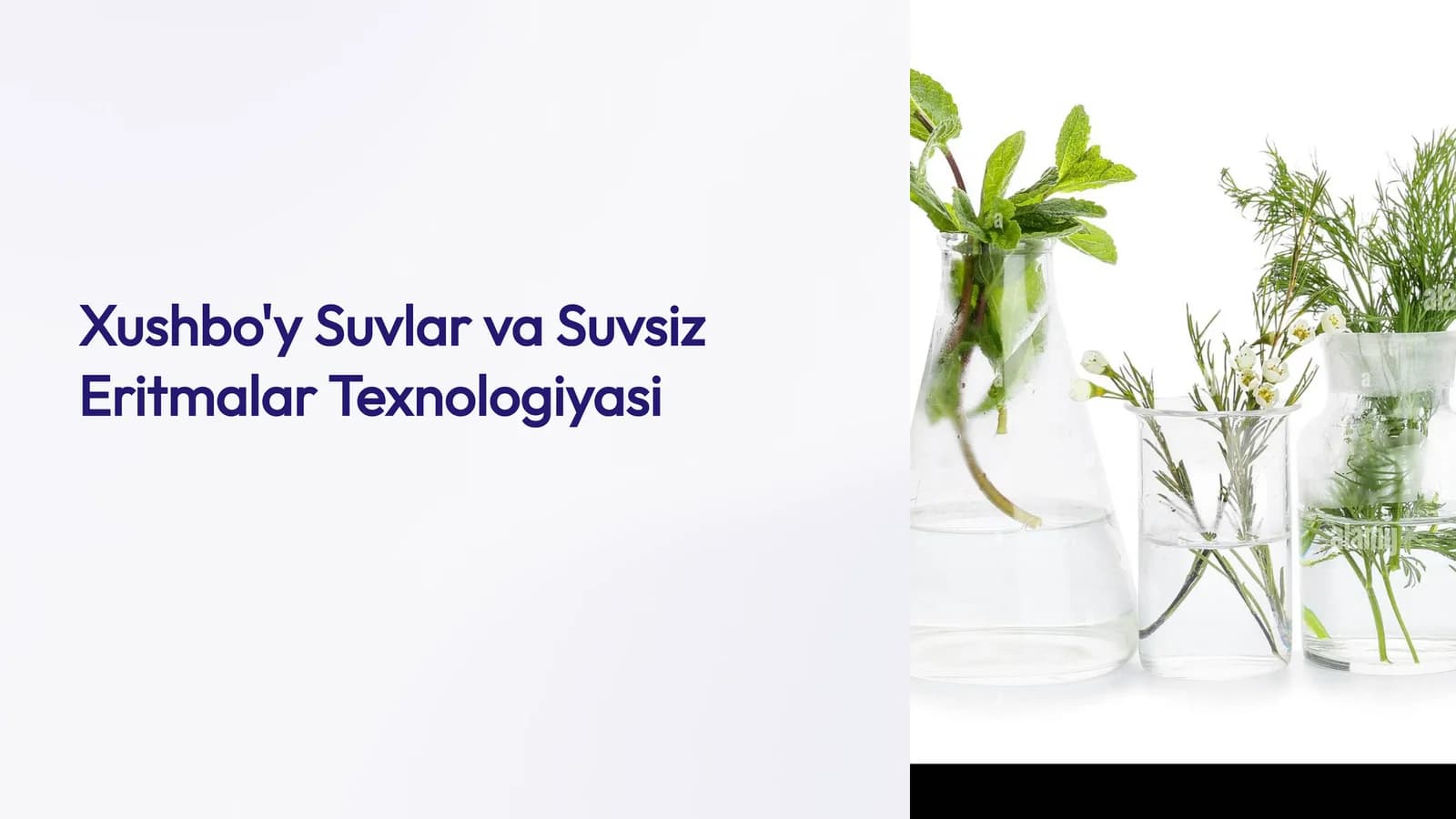Xushbo'y Suvlar va Suvsiz Eritmalar Texnologiyasi
