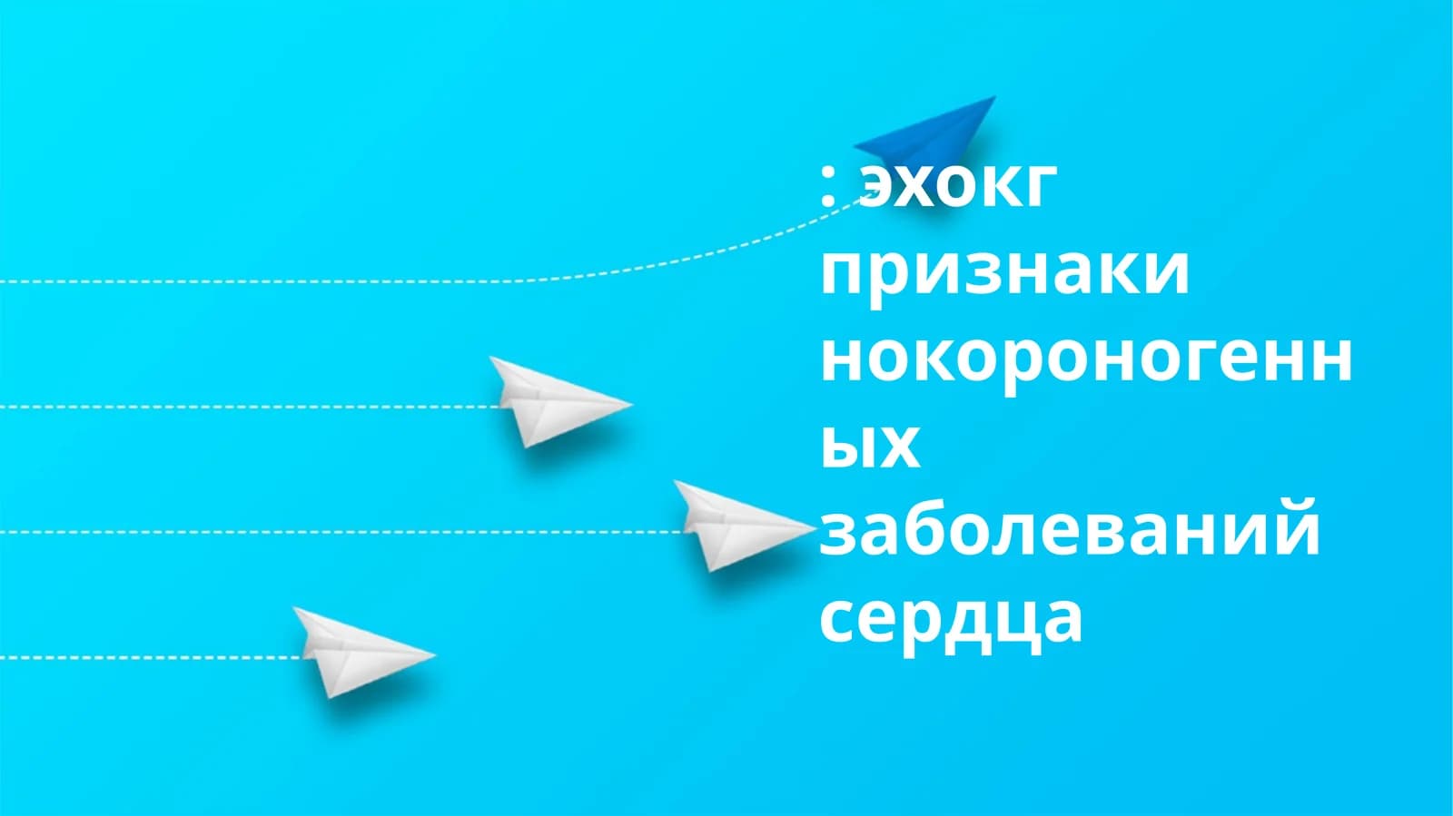 Эхокардиография