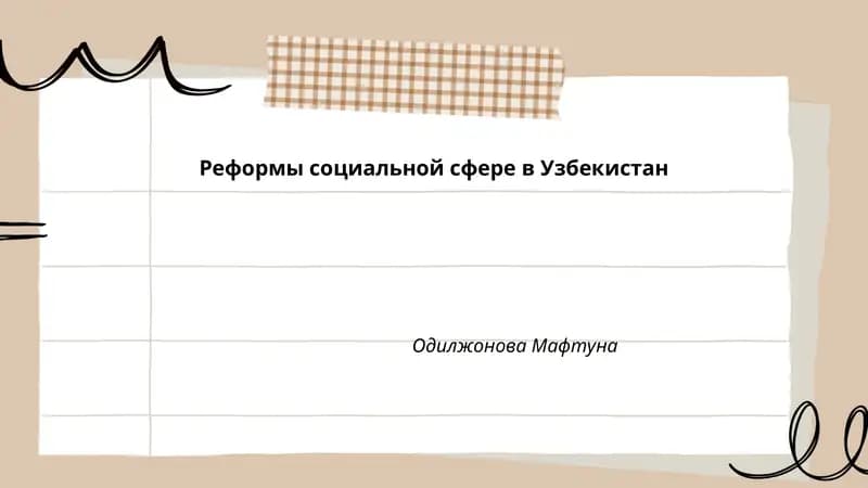 Пенсионная реформа и устойчивость пенсионной системы