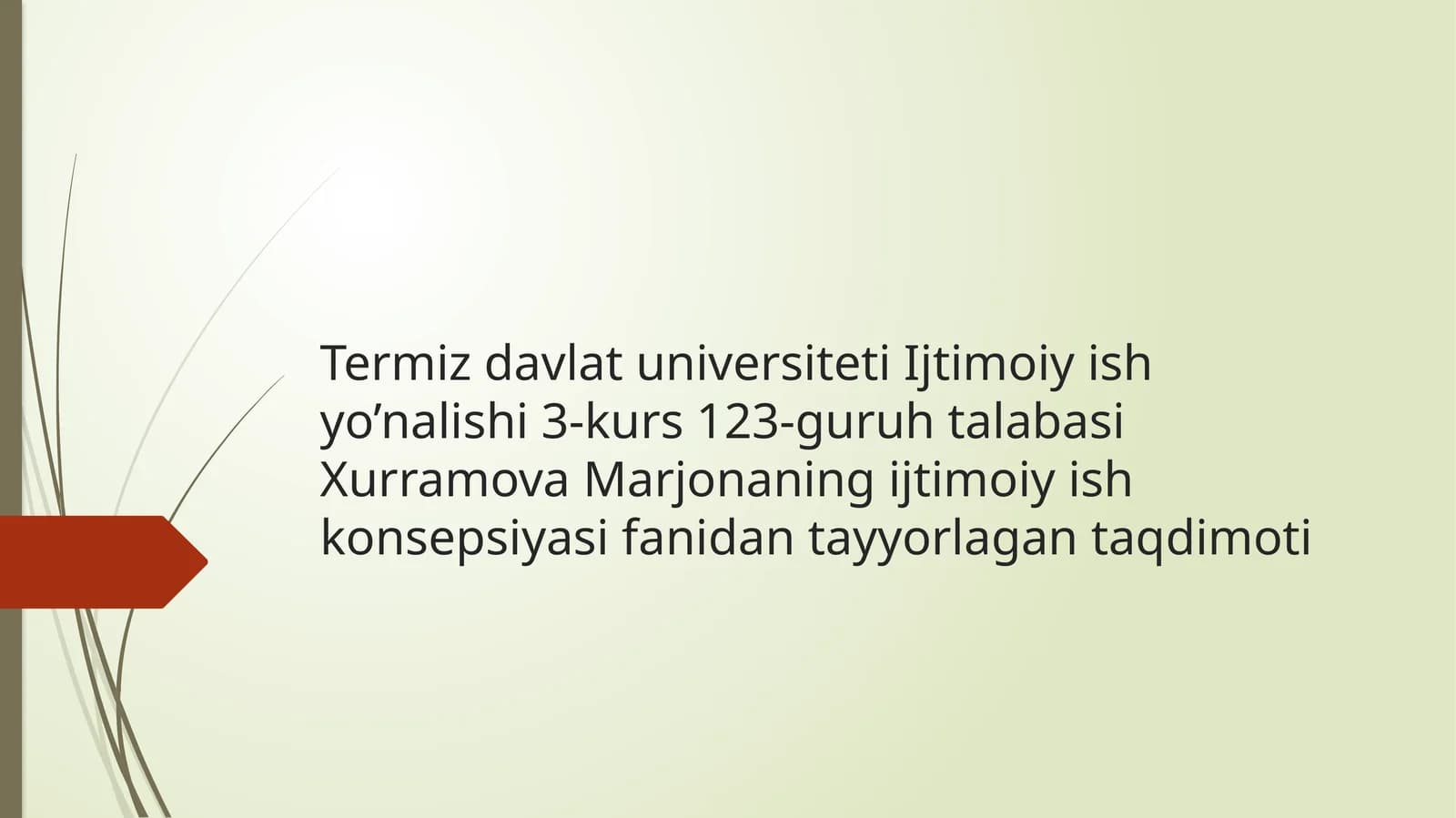 Xurramova Marjonaning ijtimoiy ish konsepsiyasi fanidan tayyorlagan taqdimoti