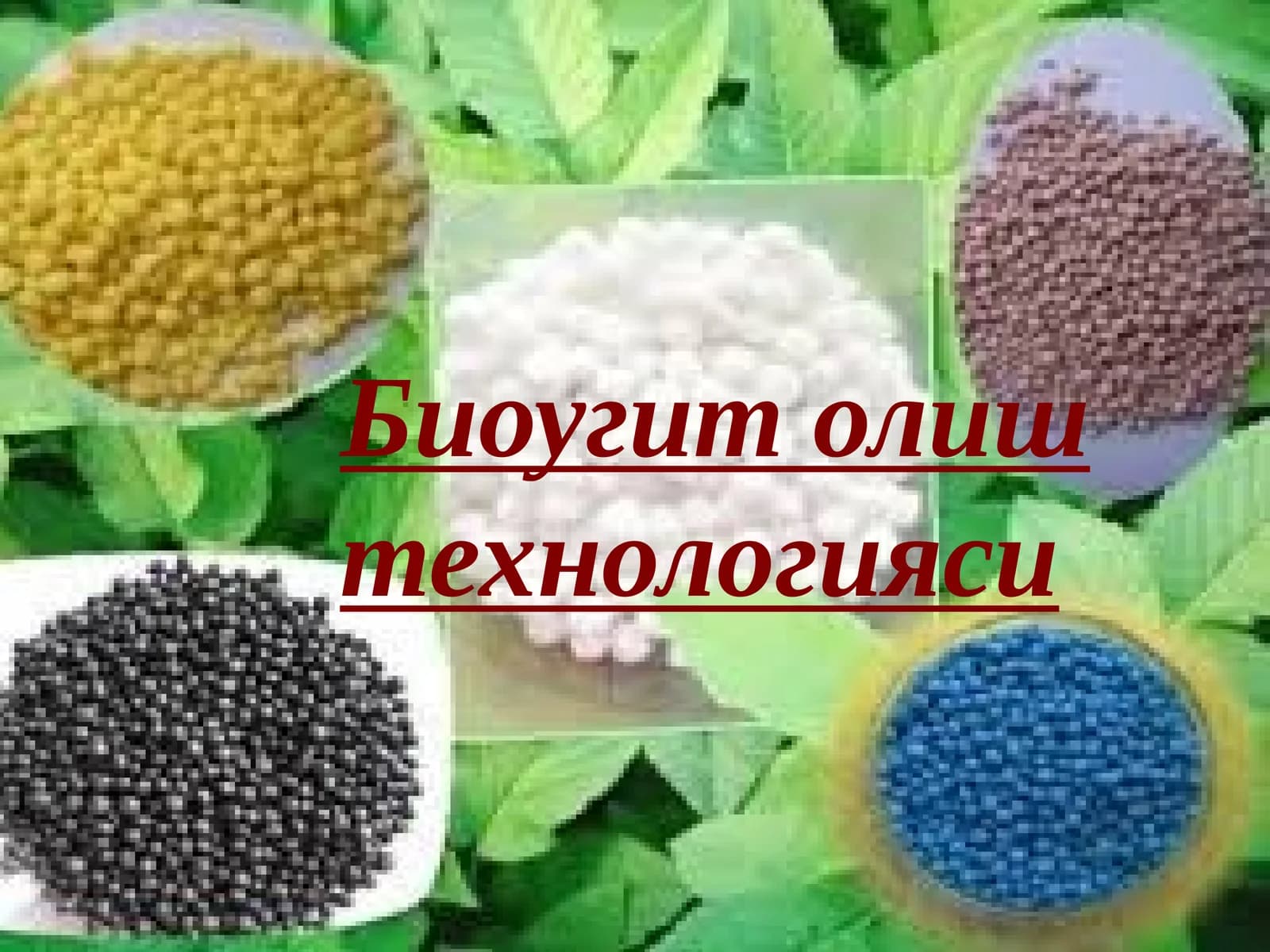 Биоугит олиштехнологияси