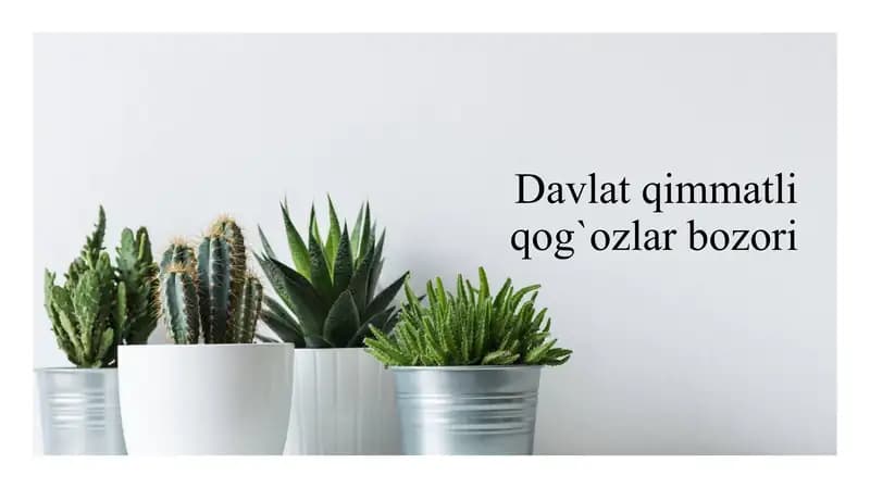 Davlat qimmatli qog`ozlar bozori
