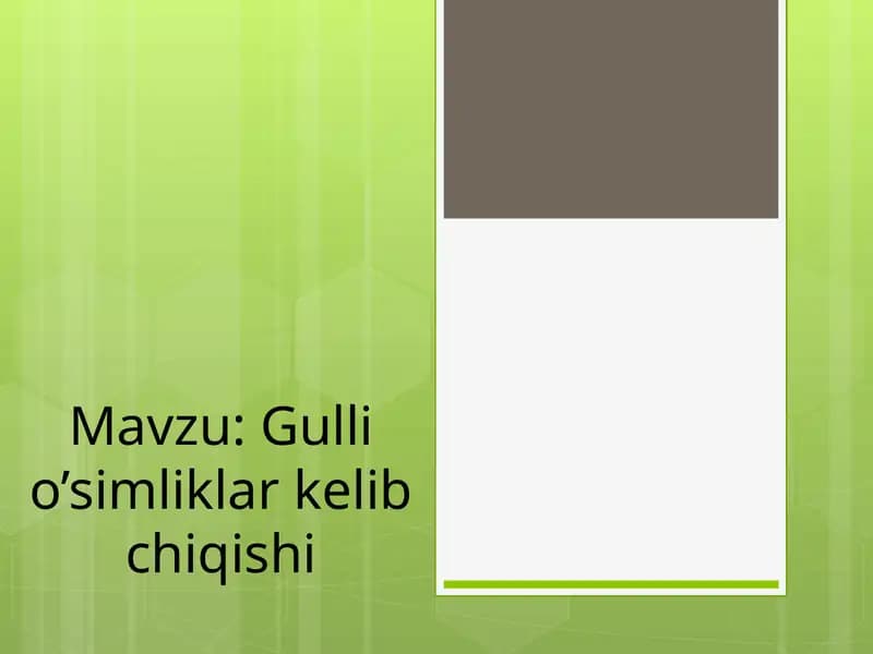 Gulli o’simliklar kelib chiqishi