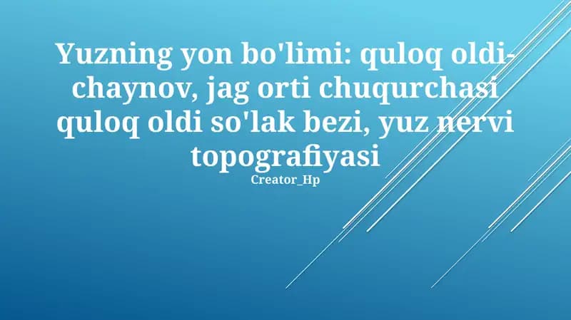 Yuz Nervining Topografiyasi va Shoxalari