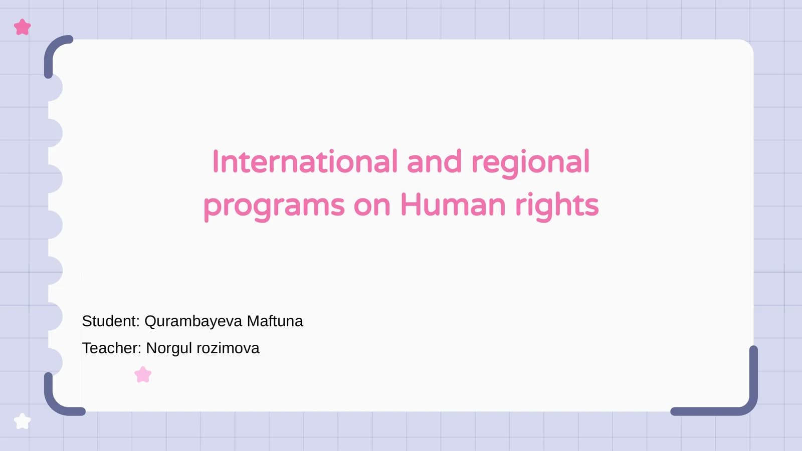 International and regional programs on Human rights