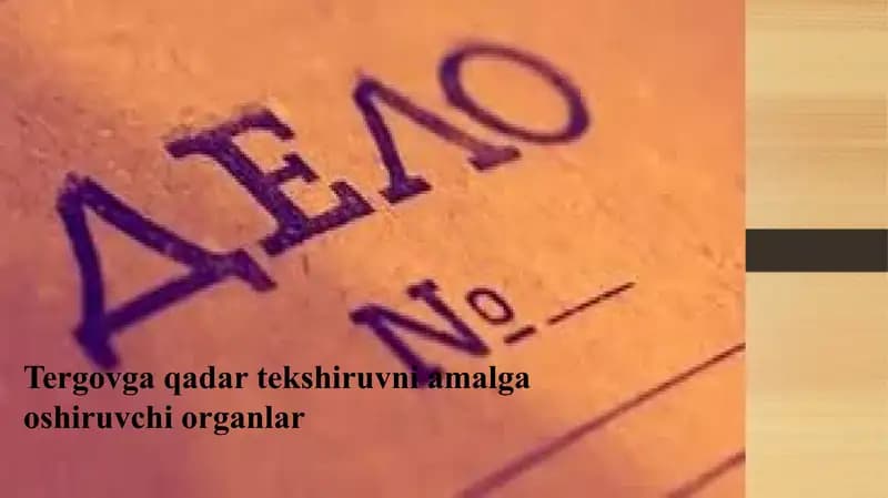 Tergovga qadar tekshiruvni amalga oshiruvchi organlar