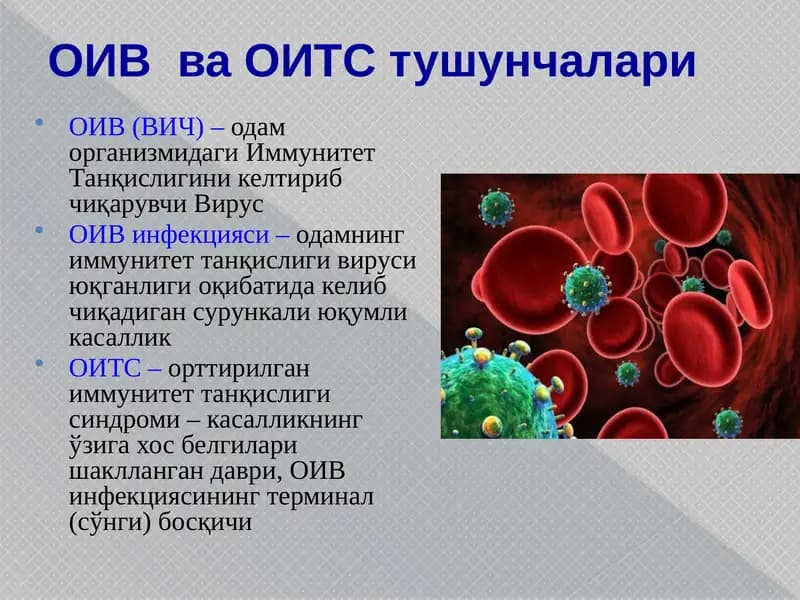 ОИВваОИТСтушунчалари
