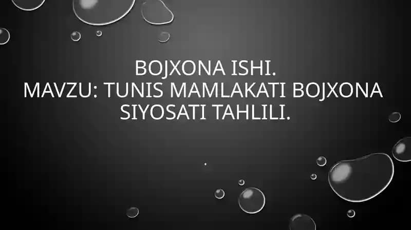 TUNIS mamlakati bojxona  siyosati tahlili