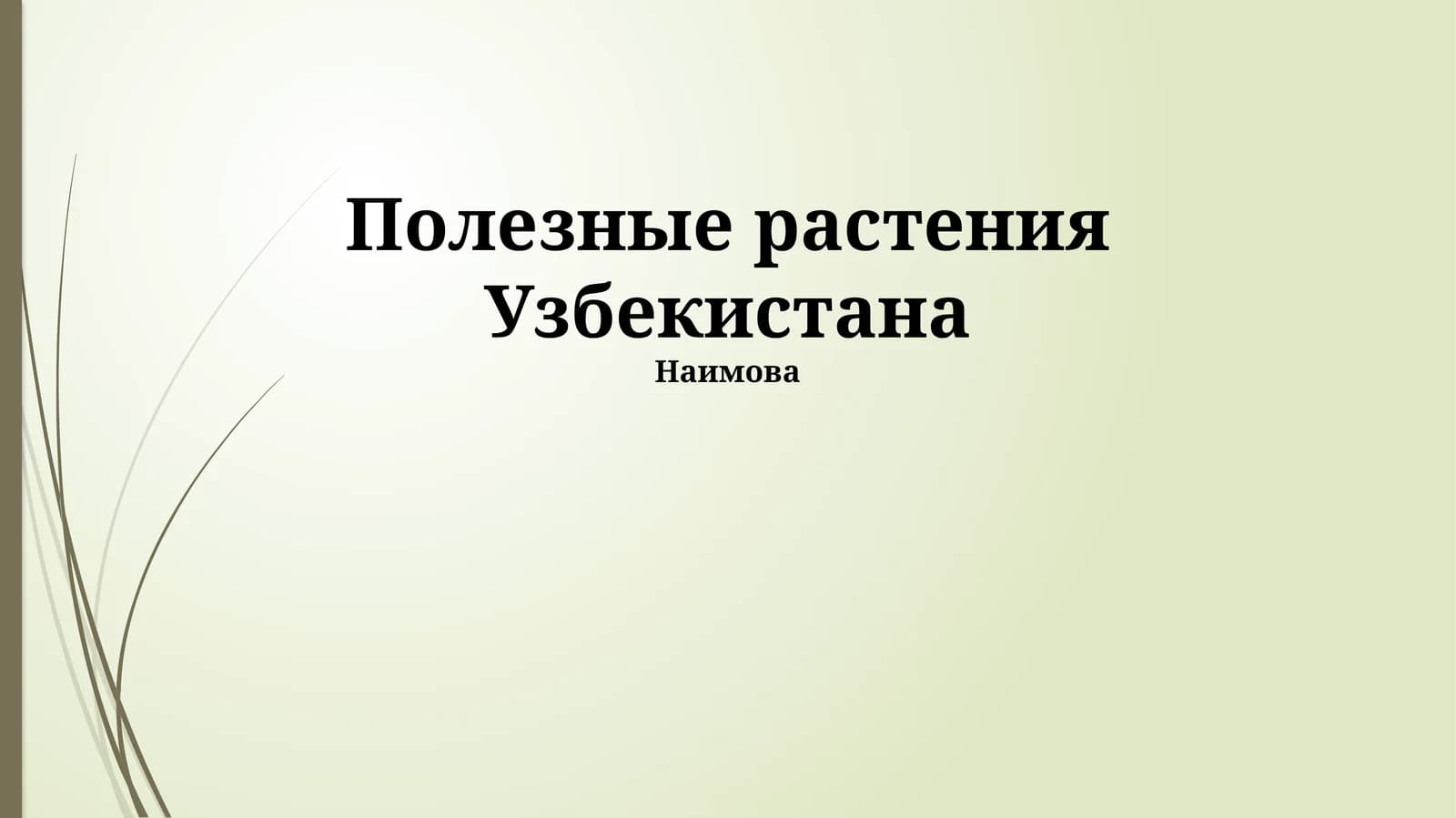 Полезные растения Узбекистана